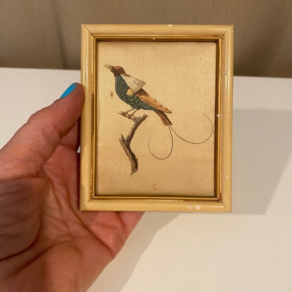 Vintage Silk Bird Print 4.5x3.5” Beatrice D’Este‎ Italy French Style